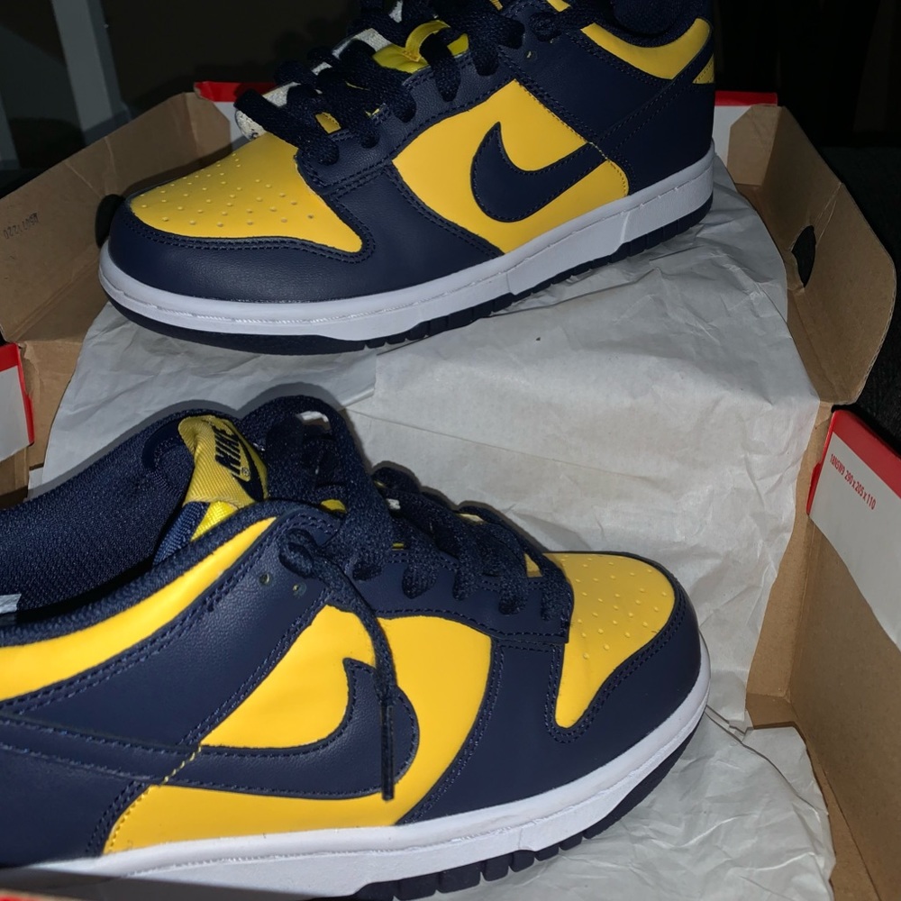 Nike Dunk Low